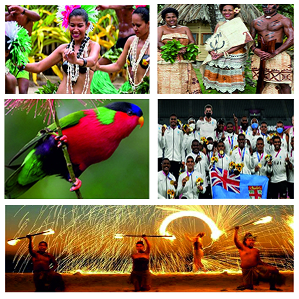 India Fiji Business and Cultural Council - About Fiji